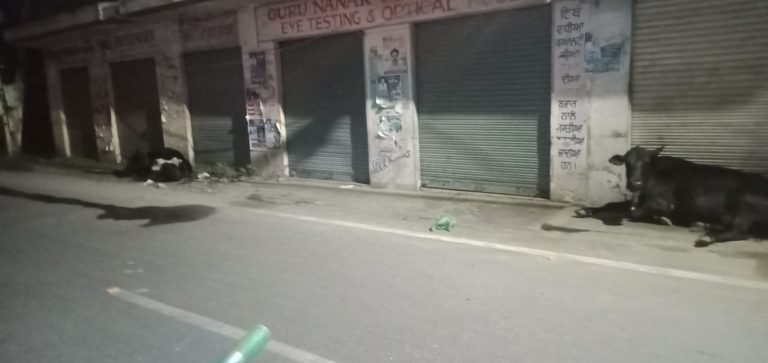 WhatsApp Image 2025-08-21 at 11.09.06 AM