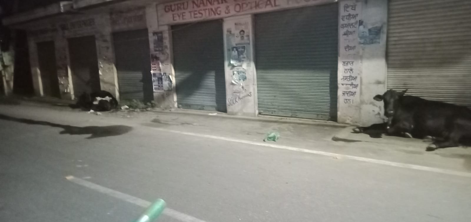 WhatsApp Image 2025-08-21 at 11.09.06 AM