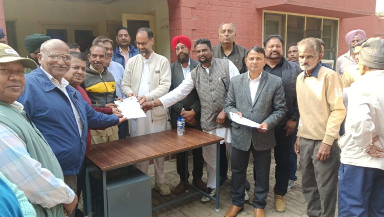 WhatsApp Image 2025-11-22 at 19.31.22