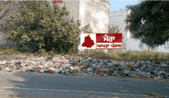 jpeg-optimizer_Picture3