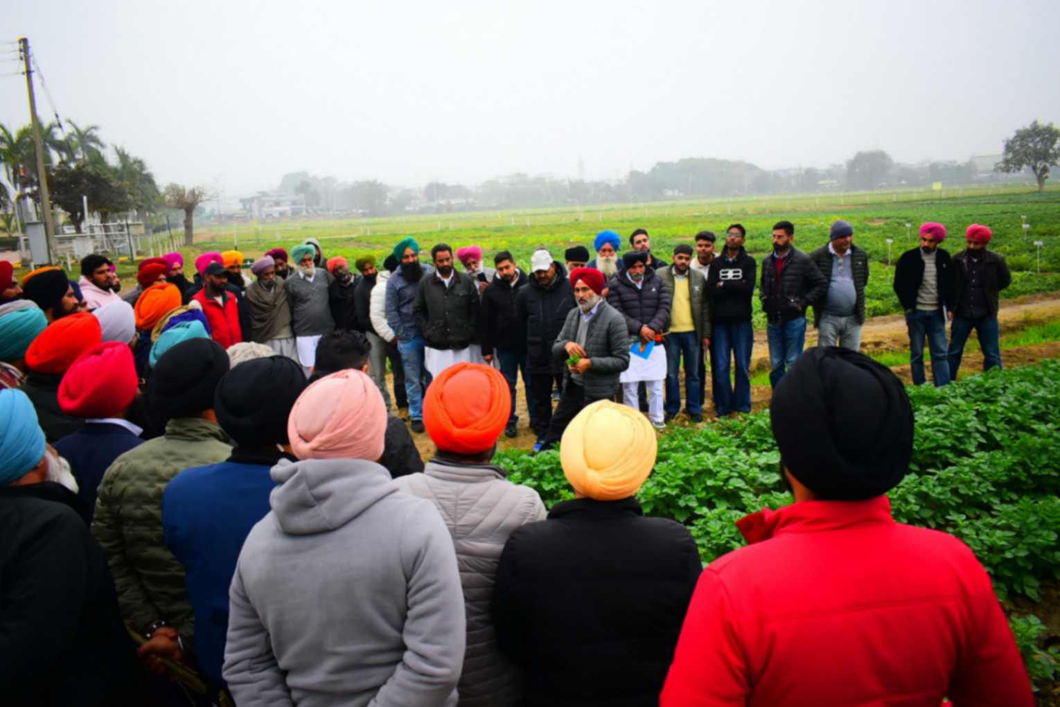 jpeg-optimizer_WhatsApp Image 2026-01-08 at 4.25.57 PM