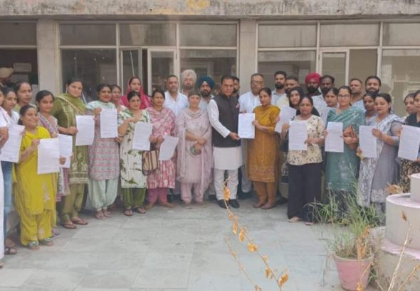 jpeg-optimizer_1111